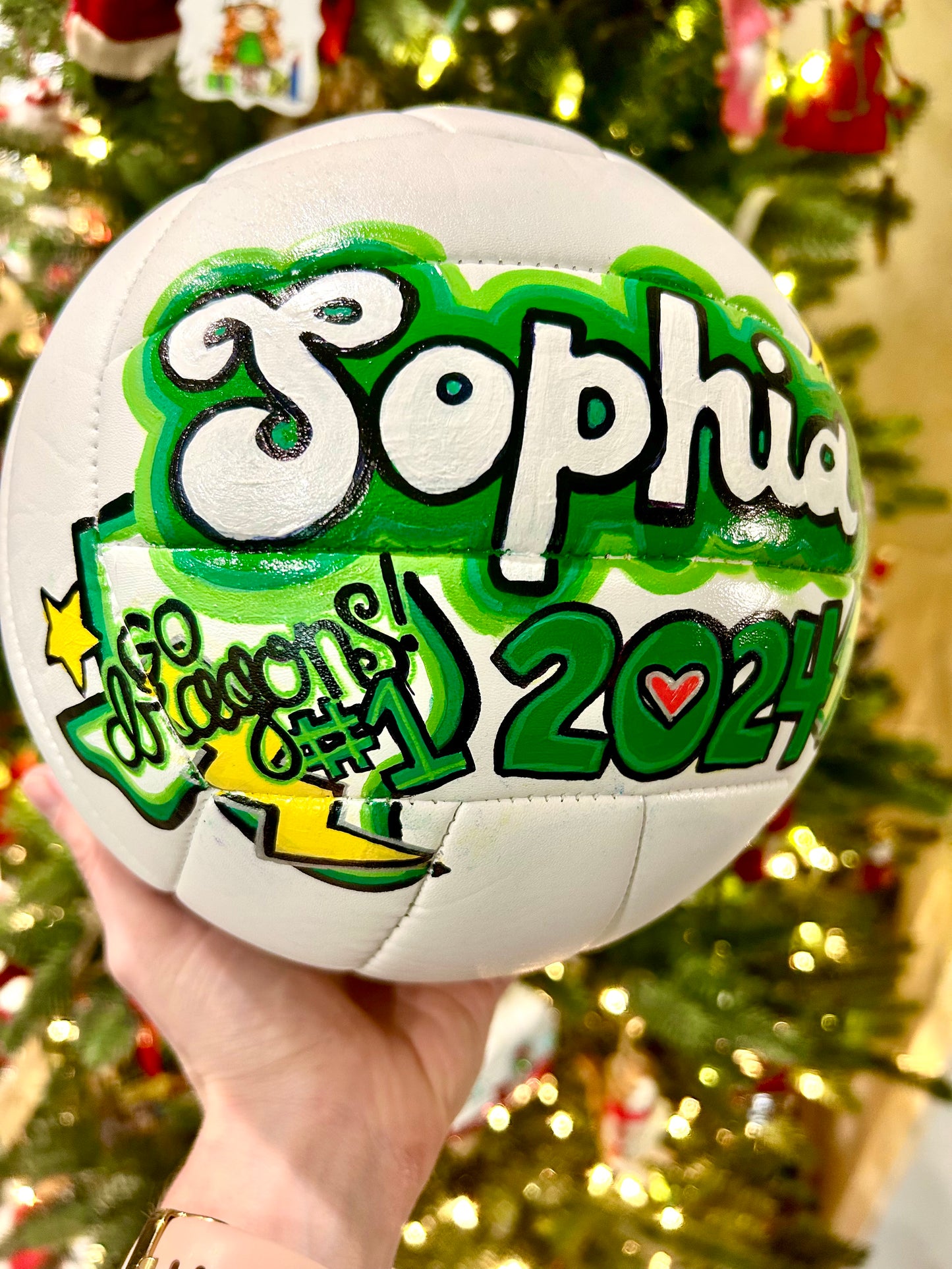Hand-painted Sports Balls