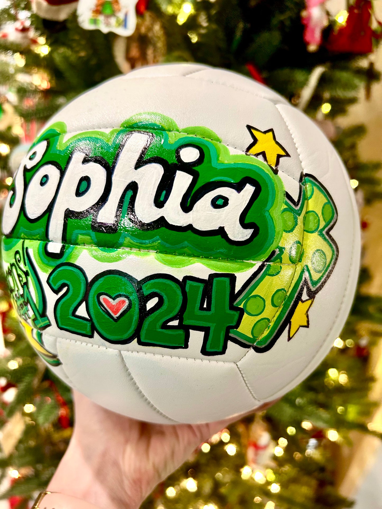 Hand-painted Sports Balls