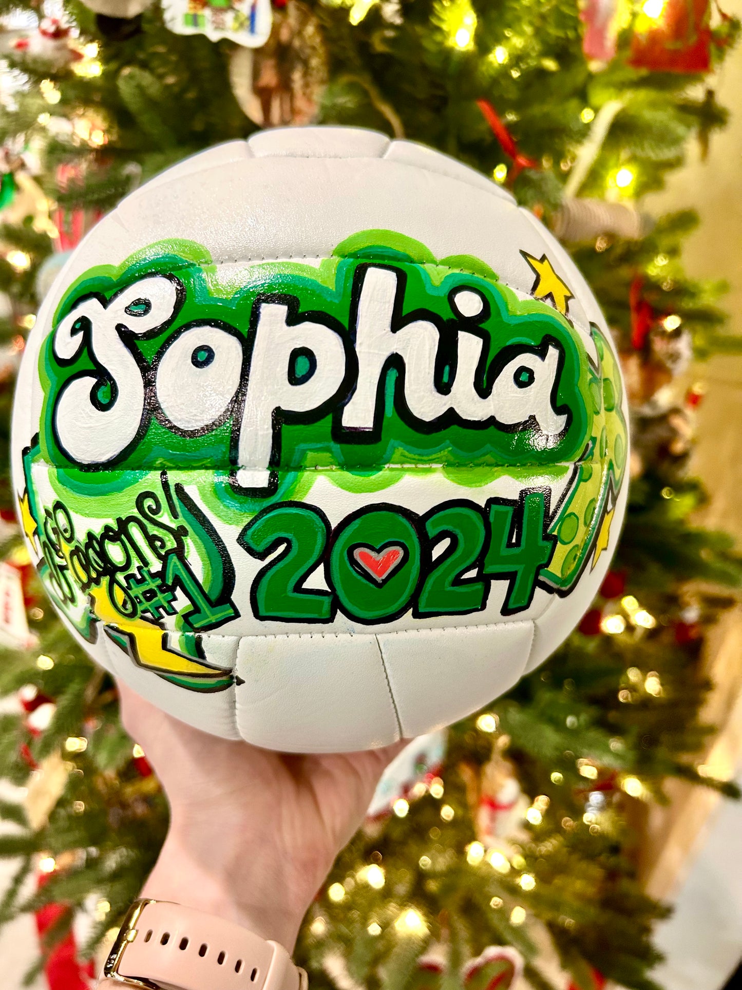 Hand-painted Sports Balls