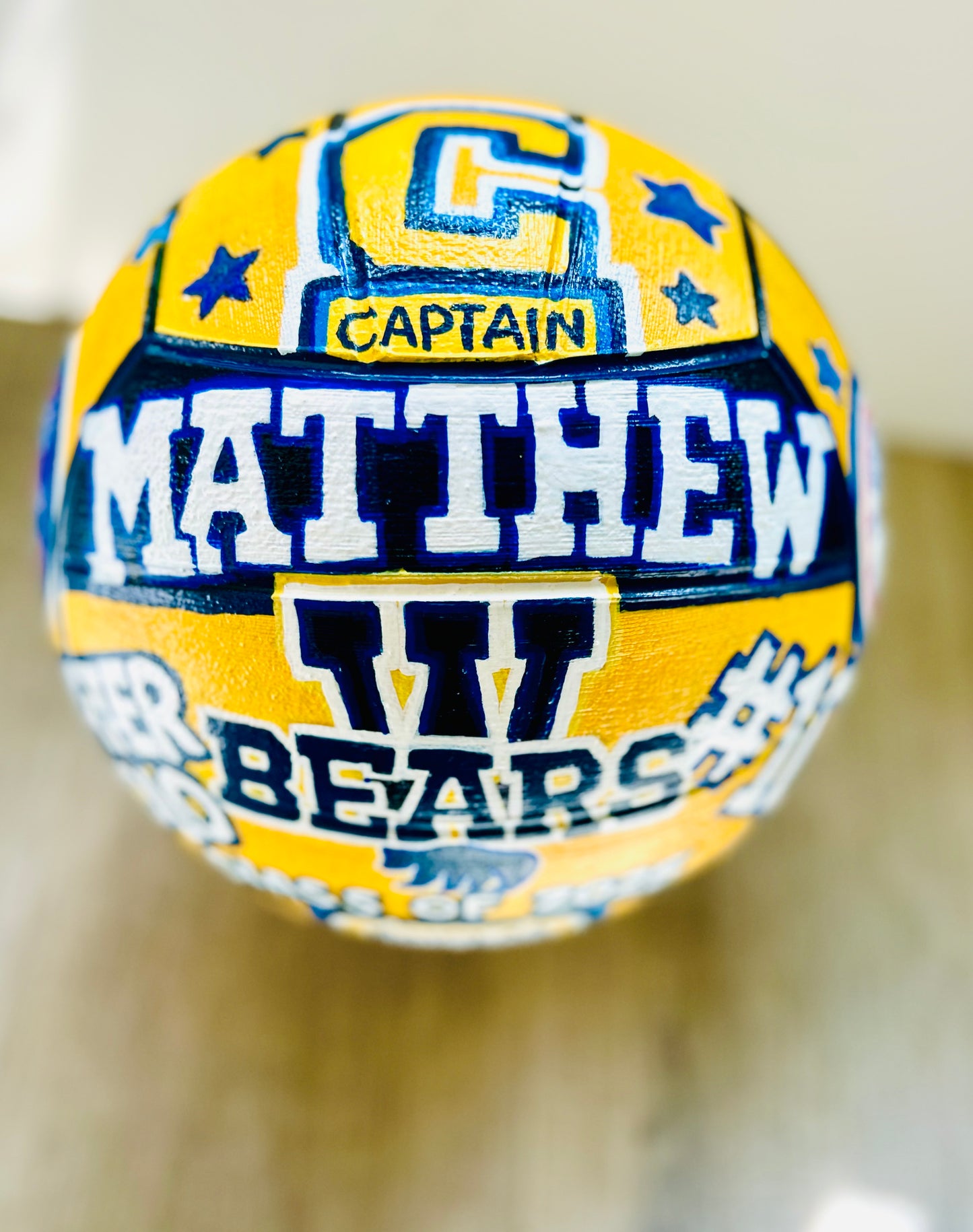 Hand-painted Sports Balls