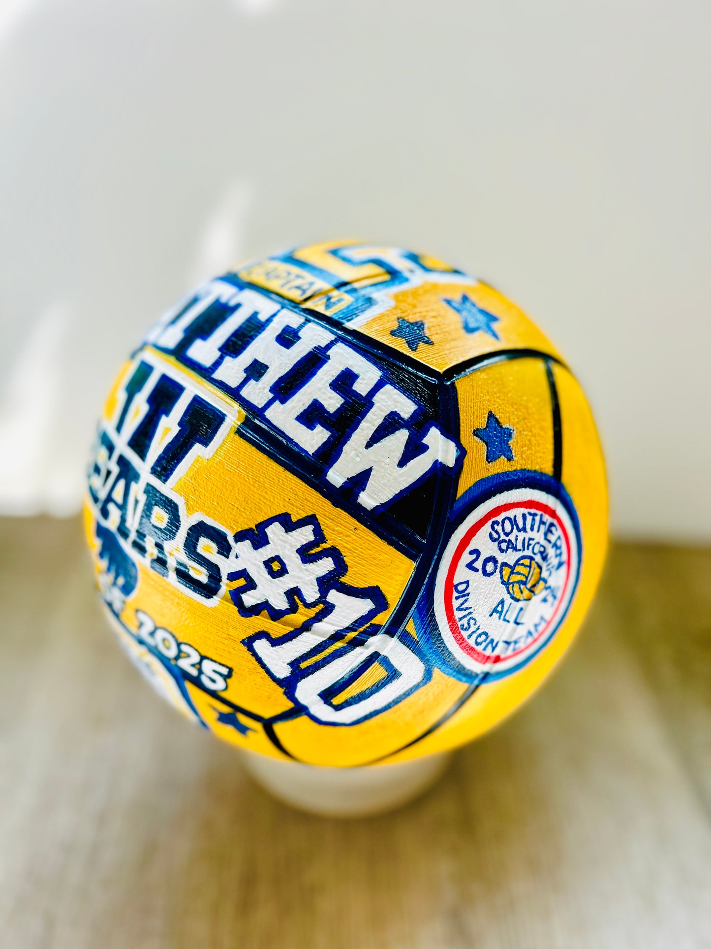 Hand-painted Sports Balls