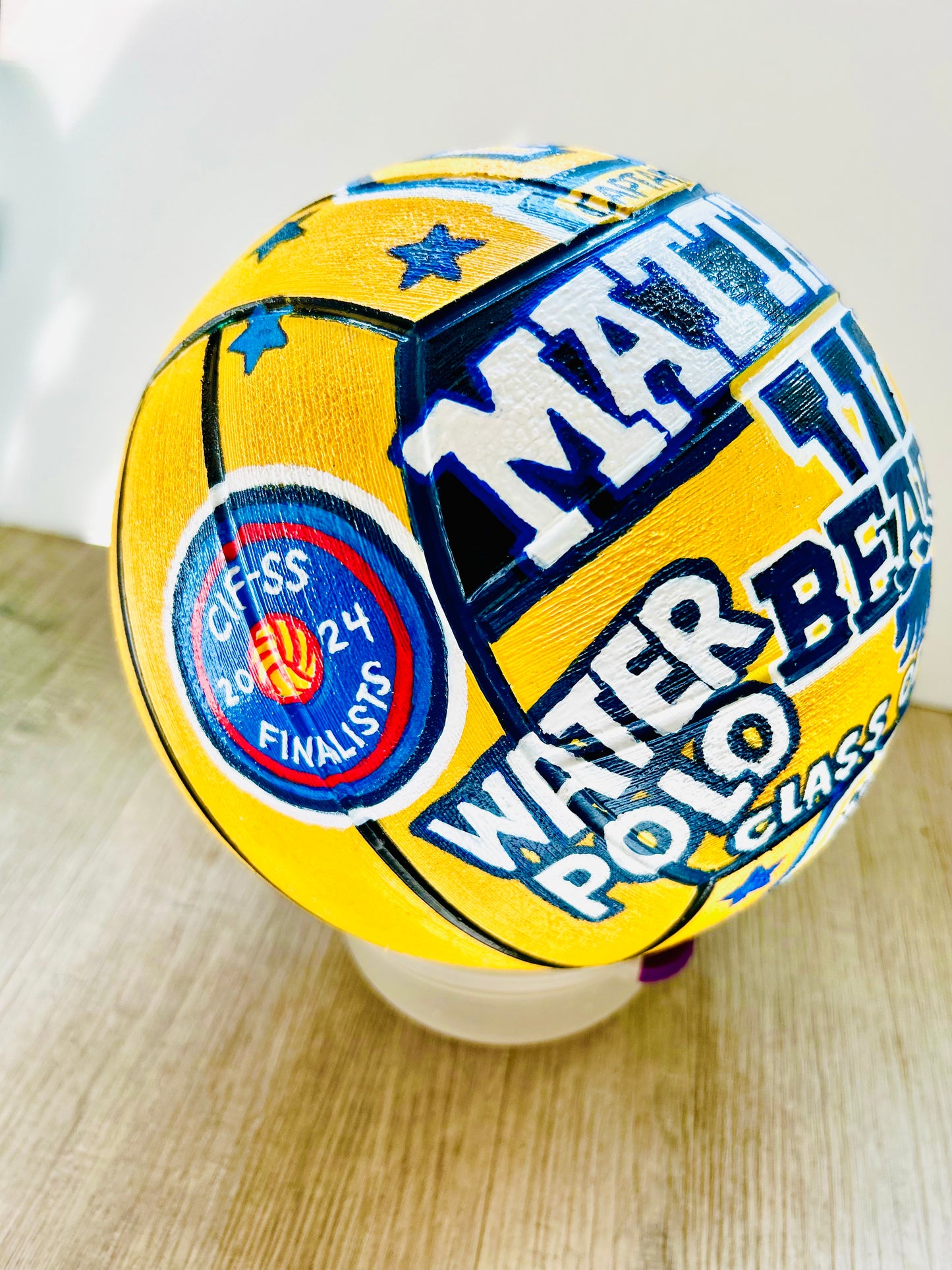 Hand-painted Sports Balls